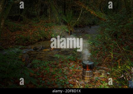Tee machen im wilden Wald. Stockfoto