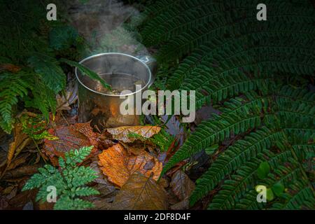 Gedämpfte Tasse Tee im wilden Wald. Stockfoto