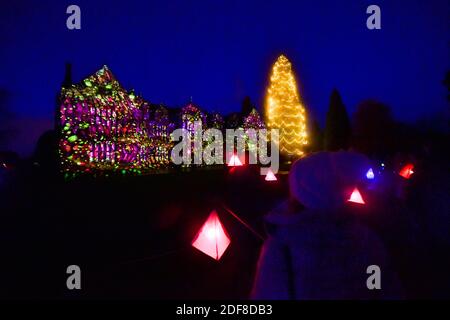 Wakehurst , Haywards Heath UK 3. Dezember 2020 - Besucher genießen die Eröffnungsnacht des Glow Wild Laternenpfades am Wakehurst in Sussex, der in diesem Jahr verborgene Helden der Natur feiert. Zu den Highlights gehören riesige schwimmende Löwenzahn-Samenköpfe, ein Märchenpilzfeld und der höchste Weihnachtsbaum Großbritanniens : Credit Simon Dack / Alamy Live News Stockfoto