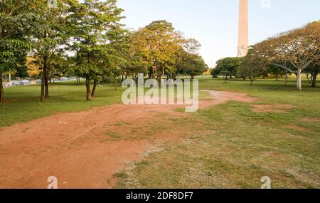 Schöne Naturlandschaft mit grünen Baum in den sonnigen Tag für den Sommer Hintergrund. Landscape mit Rasen mit Bäumen und Umwelt öffentlichen Park. Stockfoto