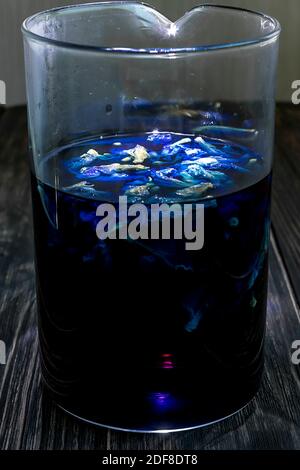 Anchan Blume Kräuterblau Tee Clitoria ternatea in einem Glas Becher Stockfoto