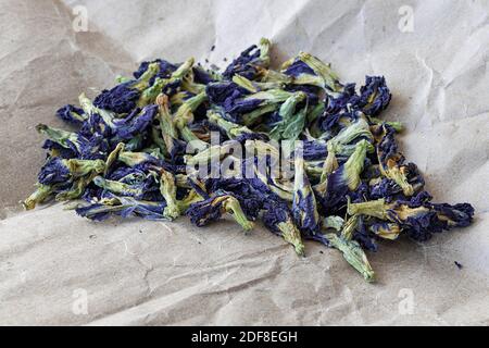 Selektives Fokusfoto von Anchan Blume Kräutertee Clitoria ternatea, auf einem Blatt Kraftpapier Stockfoto