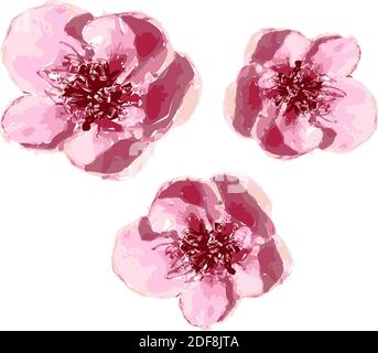 Illustration von schönen sanften rosa räumliche Blumen auf weißem Hintergrund isoliert. Einzelne Kirschblüten für einzigartige Anordnung geeignet. Stock Vektor