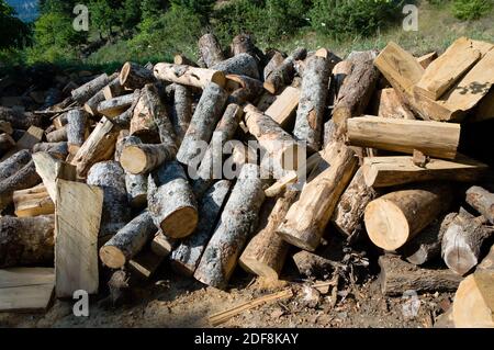 Große Holzstämme stapelten sich zufällig, ohne Ordnung Stockfoto