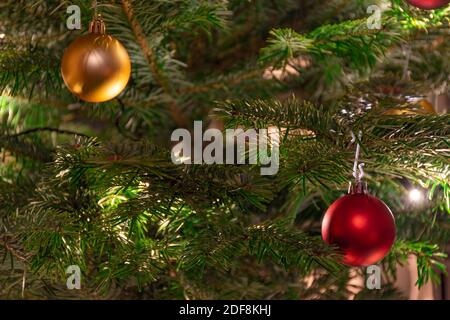 Schöner Weihnachtsbaum mit Ornamenten, gelben warmen Lichtern und goldenen und roten Kugeln, Weihnachtshintergrund, Nahaufnahme Stockfoto