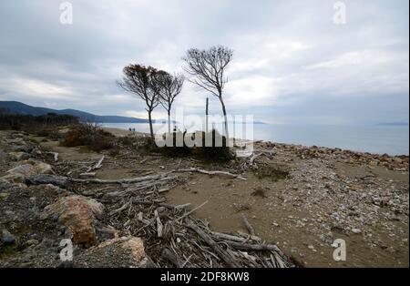 Panoramablick auf einen Teil der unberührten Küste des Uccellina Nationalparks, in der Toskana. Schuss an einem nebligen Frühlingsmorgen Stockfoto