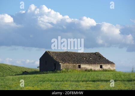 Verlassene Bauernhaus in einem grasbewachsenen Feld und bewölkten Himmel Stockfoto