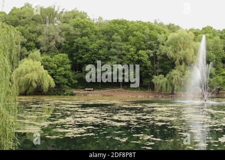 Ein Wanderweg rund um einen See mit Wasserbrunnen, vor einem Baumhain, im Rotary Botanic Gardens in Janesville, Wisconsin, USA, im Summ Stockfoto