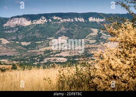 Landschaft in der Nähe des Roquefort-sur-Soulzon, Frankreich, Europa. Stockfoto