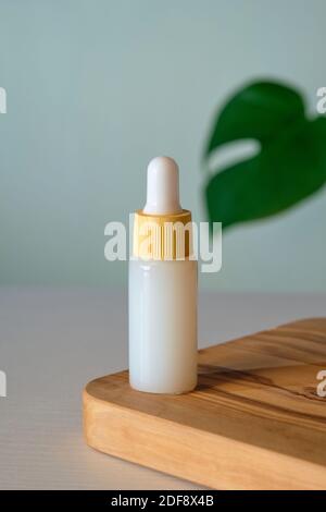 Weiße Serum-Lotion in umweltfreundlicher Bambus Tropfflasche und tropischem Palmblatt. Körperpflegekonzept. Stockfoto