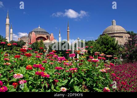 Blumengärten & die Ayasofya Camii (Sophienkathedrale) - byzantinische Kirche, die ursprünglich im Jahre 537 n. Chr. erbaut wurde, und schließlich in eine Moschee umgewandelt wurde - Istanbul Stockfoto