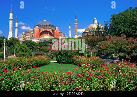 Blumengärten & die Ayasofya Camii (Sophienkathedrale) - byzantinische Kirche, die ursprünglich im Jahre 537 n. Chr. erbaut wurde, und schließlich in eine Moschee umgewandelt wurde - Istanbul Stockfoto