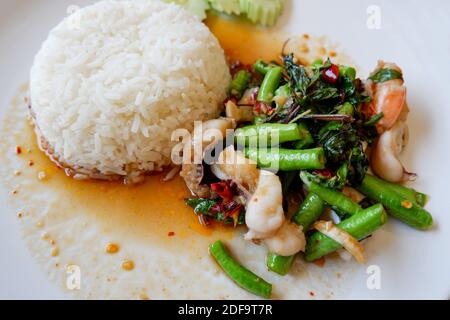 Yard lange Bohne rühren gebratenen Meeresfrüchten Tintenfisch Garnelen Garnele mit heiligen Basilikum und Reis, Thai-Essen würzig gebraten Rezept mit Gurke und Chili Stockfoto