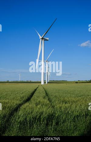 Windturbinen in der Mitte von Weizenfeldern. Abbildung der Windparks in Lauragais (bei Toulouse, Südfrankreich), am 19. Mai 2020. Foto von Patrick Batard/ABACAPRESS.COM Stockfoto