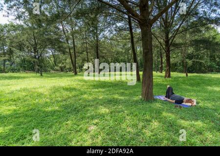 Frau, die sich auf Gras unter Schatten der Bäume legt. Stockfoto