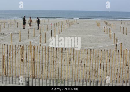 Am 'Couchant Beach' sonnen sich die Menschen am 23. Mai 2020 in abgehauenen, von der Stadt am Strand in La Grande Motte, Südfrankreich markierten Zonen. Der erste organisierte Strand in Frankreich, um getrennte Zonen für Strandbesucher zu implementieren, um soziale Distanzierung zu respektieren und gemessen durch die COVID-19 Pandemie. Fotos von Patrick Aventurier/ABACAPRESS.COM Stockfoto