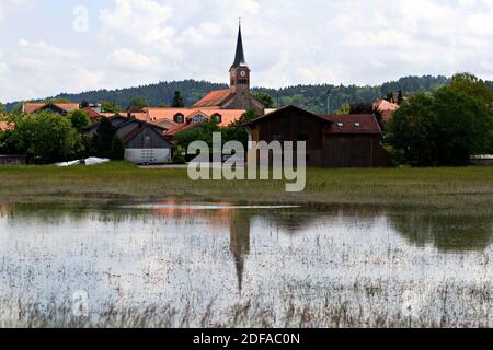 Chiemsee-Sintflut Juni 2013, überschwemmtes Land vor Grabenstaett, Chiemgau, Oberbayern, Deutschland, Europa Stockfoto