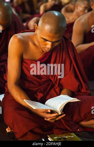 BUDDHISTISCHE Mönche den heiligen Schriften an KHA KHAT WAIN KYAUNG - BAGO, MYANMAR Stockfoto