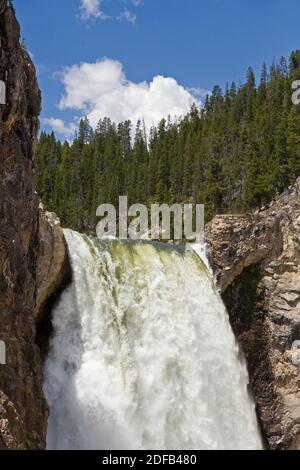 Oberen Rand der mächtigen LOWER YELLOWSTONE FALLS - YELLOWSTONE-Nationalpark, WYOMING Stockfoto