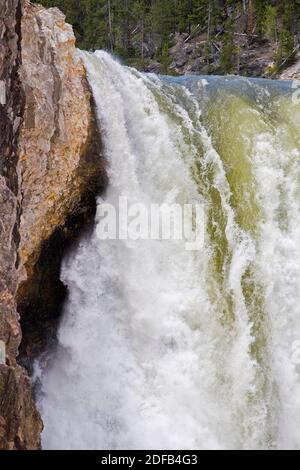 Oberen Rand der mächtigen LOWER YELLOWSTONE FALLS - YELLOWSTONE-Nationalpark, WYOMING Stockfoto