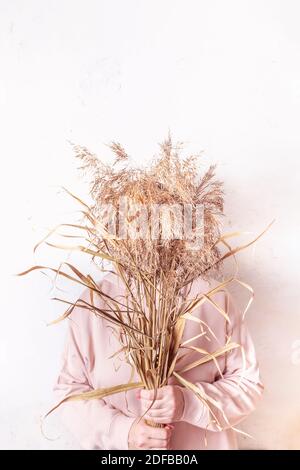 Pampas Gras in den Händen der Frau. Cortaderia selloana. Gesichtslose Frau in rosa Kleid gegen abstrakte Wand mit Champagner Farbe getrockneten Blumen. Stockfoto