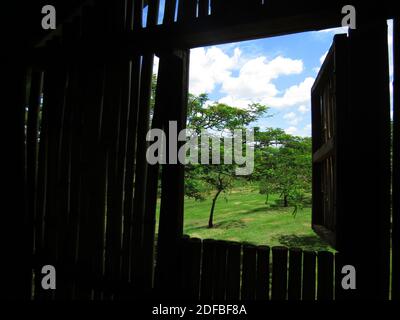 Im Inneren eines Baumhauses mit Bäumen, grünen Feldern und blauem Himmel Blick in einem sonnigen Tag Stockfoto