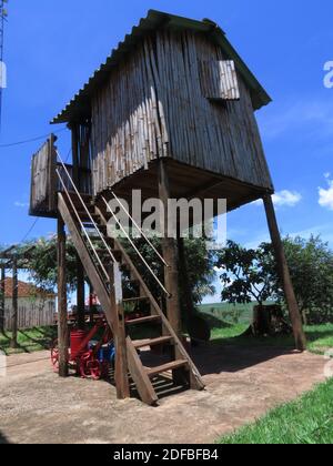 Baumhaus außen auf einer Ranch in brasiliens Landschaft mit Grün Gras und blauer Himmel Stockfoto