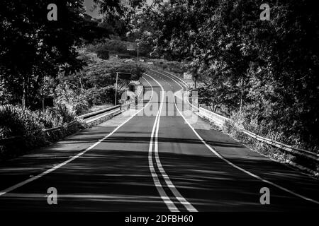 Regelmäßige Straße des Staates São Paulo (Brasilien) mit Bäumen (Mit sehr grünen und gesunden Blättern) Und eine kleine Brücke [Schwarz-Weiß-Farben] Stockfoto