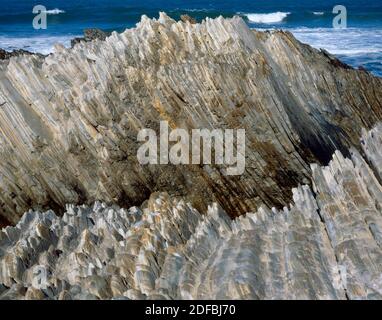 Monterey Schiefer, Montana de Oro State Park, San Luis Obispo County, Kalifornien Stockfoto