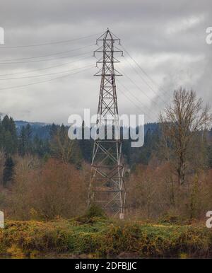 Hochspannungsfreileitung an der schönen Landschaft im Wald in den bewölkten Tag. Hochspannungsturm für elektrische Übertragung. Selektiv f Stockfoto