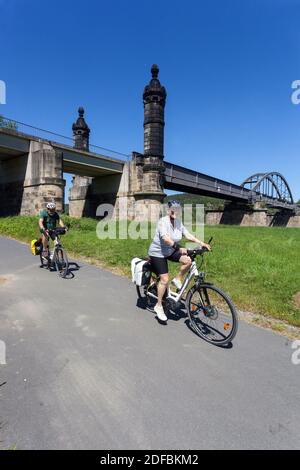 Senioren Radfahren auf Elberadweg bei Bad Schandau Deutschland Zug Brücke Stockfoto