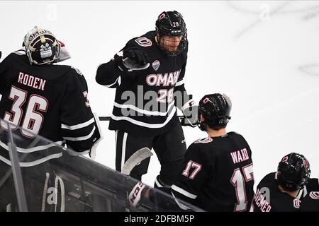 Omaha NE, USA. 3. Dezember 2020 Nebraska-Omaha Mavericks Vorwärts Jack Randl (28) Skates von seiner Bank zu feiern Scoring ein Tor während eines NCAA D1 Männer Hockey-Spiel zwischen der University of Nebraska - Omaha Mavericks und Western Michigan Broncos in Baxter Arena in Omaha NE, Heimat des NCHC ''Hub'', wo die ersten 38 .National Collegiate Hockey Conference Spiele unter sicheren Bedingungen gespielt werden, um vor Covid-19 zu schützen. Omaha gewann 10:2. Foto von Russell Hons/CSM Quelle: CAL Sport Media/Alamy Live News Stockfoto