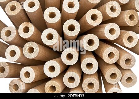 Holzblume aus gedrehten Beinen, Konzept. Gedrehte Holzbeine gefaltet wie eine Blume isoliert auf weißem Hintergrund Stockfoto