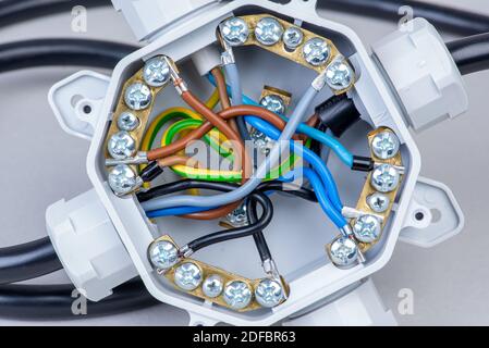 Elektrische Anschlussdose für Nahaufnahme von Elektrizität Stockfoto