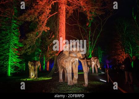 Festliche Lichter erleuchten die Elefanten-Skulpturen entlang des Winter Light Trail im Waddesdon Manor in Aylesbury, Buckinghamshire. Die jährliche Weihnachtsveranstaltung wurde in diesem Jahr angepasst und nach draußen verlegt, um Besuchern ein sicheres Erlebnis zu ermöglichen. Stockfoto