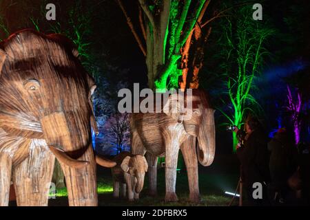 Festliche Lichter erleuchten die Elefanten-Skulpturen entlang des Winter Light Trail im Waddesdon Manor in Aylesbury, Buckinghamshire. Die jährliche Weihnachtsveranstaltung wurde in diesem Jahr angepasst und nach draußen verlegt, um Besuchern ein sicheres Erlebnis zu ermöglichen. Stockfoto