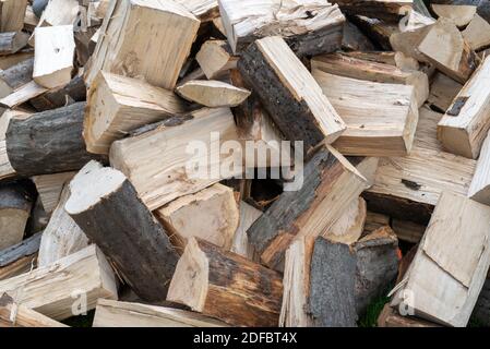 Geviertelte Hainbuche Brennholz auf Stapel Stockfoto