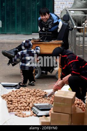 (201204) -- ZHENGZHOU, 4. Dezember 2020 (Xinhua) -- Sun Yahui (zurück) Livestreams seiner Familie, die Walnüsse verpackt, um sie zu Hause im Dorf Yangzhuang in Xinxiang, der zentralchinesischen Provinz Henan, zu verkaufen, 2. Dezember 2020. „Hallo, alle! Heute werde ich dir zeigen, wie man Lotuswurzeln im Dorf meines Onkels gräbt." Als ein neuer Tag begann, stellte Sun Yahui das Handy mit seinem linken Bein bereit und begann seine Livestreaming. Sun Yahui, 26, verlor beide Arme und wurde vor 4 Jahren durch elektrische Verletzungen gelähmt. "Ich dachte, ich wäre nutzlos." Der Unfall hinterließ Verletzungen am Körper und emotionale Narben am Geist. Um sein Woun zu behandeln Stockfoto