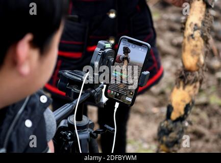 (201204) -- ZHENGZHOU, 4. Dezember 2020 (Xinhua) -- Sun Yahui zeigt Lotuswurzeln an einem entwässerten Teich im Dorf Wanglu in Xinxiang, der zentralchinesischen Provinz Henan, 2. Dezember 2020. „Hallo, alle! Heute werde ich dir zeigen, wie man Lotuswurzeln im Dorf meines Onkels gräbt." Als ein neuer Tag begann, stellte Sun Yahui das Handy mit seinem linken Bein bereit und begann seine Livestreaming. Sun Yahui, 26, verlor beide Arme und wurde vor 4 Jahren durch elektrische Verletzungen gelähmt. "Ich dachte, ich wäre nutzlos." Der Unfall hinterließ Verletzungen am Körper und emotionale Narben am Geist. Um seine Wunden zu behandeln, verbrachten Suns Eltern alle SA Stockfoto