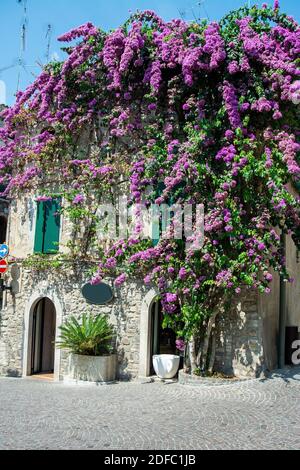 Sirmione ist eine italienische Ortschaft am Südufer des Gardasees und Technologie zur Provinz Brescia in der italienischen Region Lombardei. Stockfoto