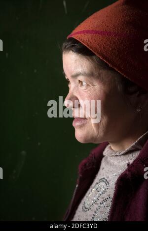 Tadschikistan, Provinz Gbao, Frau in ihrem Haus in Karakul, Porträt von Pamiri Stockfoto