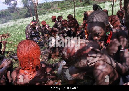 Äthiopien, ein Hamer-Mann trinkt vor der Stiersprungzeremonie (Ukuli-Ritual) des Stammes Hamer Hamar einen blutgefüllten Kalabash von einem Bullen Stockfoto