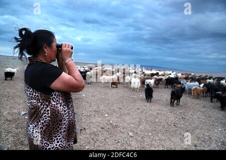 Mongolei, nomadische Frau, die ihr Vieh bei Sonnenuntergang in der Wüste Gobi durch ein Fernglas beobachtet Stockfoto