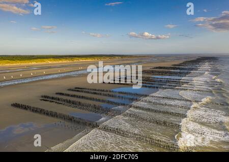 Frankreich, Somme (80), Somme-Bucht, Quend-Plage, Sandyachten am Quend Beach in der Nähe der Reihen der Muschelzüchter-Bouchots (Luftaufnahme) Stockfoto