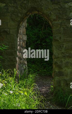 Torbogen in einer mittelalterlichen Burgmauer mit sonnenbeschienenen Gräsern an den Rändern. Stockfoto