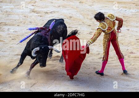 Frankreich, Gard, Nimes, Feria des Vendanges, Stierkampf, Sebastien Castella Stockfoto