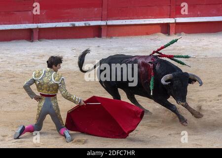 Frankreich, Gard, Nimes, Feria des Vendanges, Stierkampf, El Rafi Stockfoto