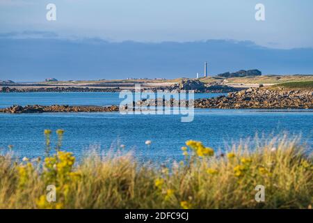 Frankreich, Finistere, Abers Country, Legendes Coast, aber Benoit, Leuchtturm Ile Vierge im Hintergrund Stockfoto