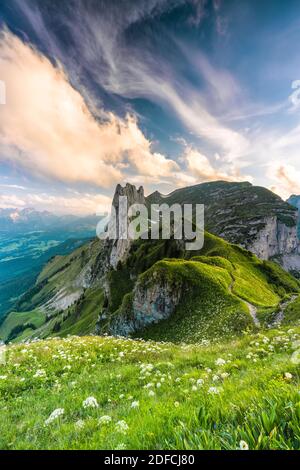 Wolken bei Sonnenuntergang über Saxer Lucke und blühende Wiesen im Sommer, Kanton Appenzell, Alpsteinkette, Schweiz Stockfoto