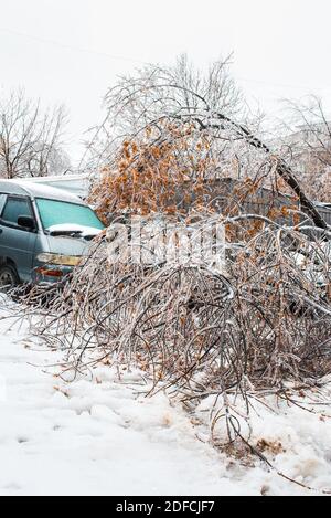 Vom Wind zerbrochene Bäume fielen auf die Autos. Äste von Bäumen mit Eis bedeckt gebogen zu Boden. Eissturmzyklon. Stadt im Winter. Stockfoto